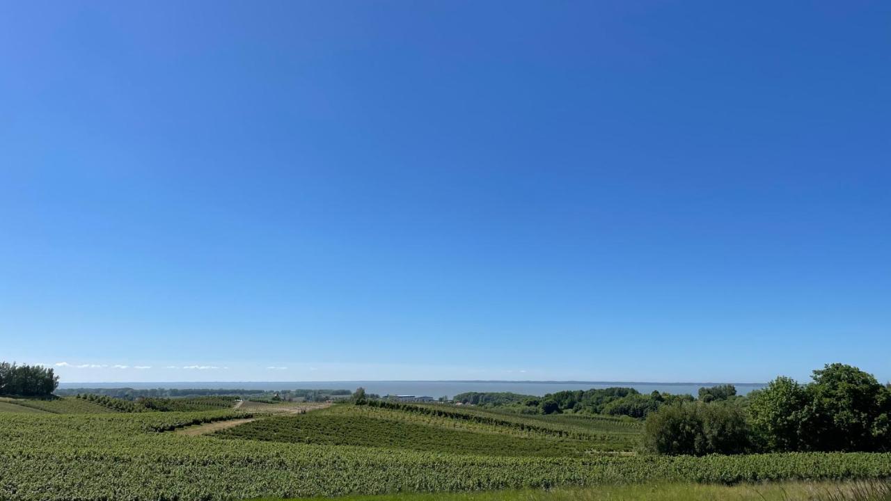 Domki Letniskowe Mts Sloneczne Wzgorze Tolkmicko Kültér fotó